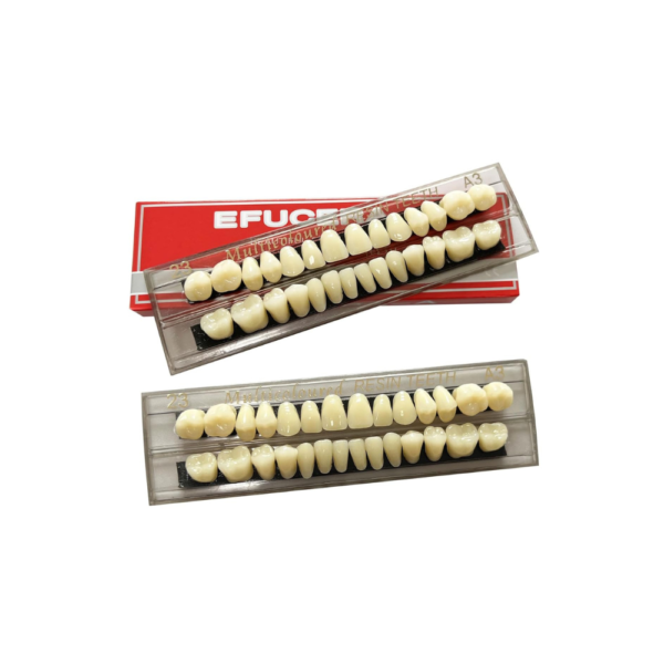 56 Pieces False Teeth Acrylic Resin Denture Tooth | Denture Tooth Replacement Kit | Realistic A3 Color | DIY Horror Teeth Prop & Dental Learning Model